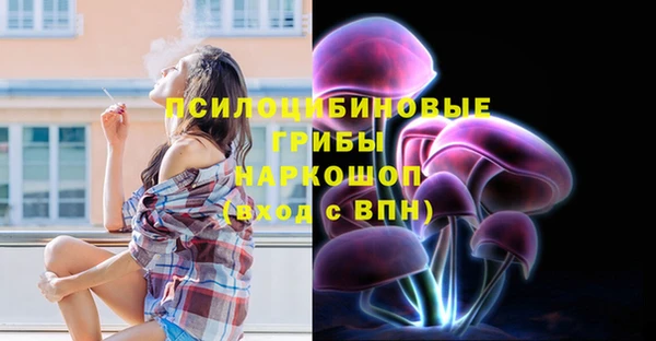 соль ск Абаза