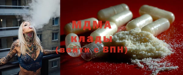 индика Алзамай