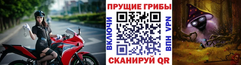 Галлюциногенные грибы ЛСД  закладки  hydra ONION  Дербент 