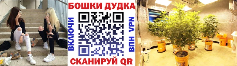Шишки марихуана конопля  купить   Дербент 